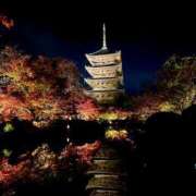 ヒメ日記 2025/11/28 13:08 投稿 レオ コンプレックス(京都)