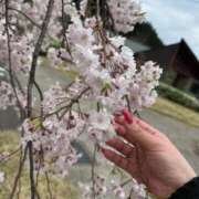 ヒメ日記 2026/04/17 12:57 投稿 レオ コンプレックス(京都)