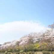 ヒメ日記 2026/04/10 00:26 投稿 りん Garter Princess＆Mrs（ガータープリンセス＆ミセス）