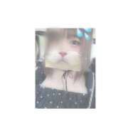 ヒメ日記 2025/01/30 18:48 投稿 はな One More奥様　厚木店