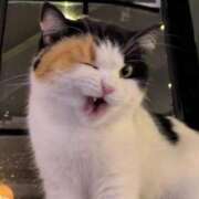 ヒメ日記 2026/04/08 09:49 投稿 しいな サンキュー町田・相模原店