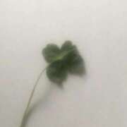 ヨツハ おやすみ🥲 【福岡デリヘル】20代・30代★博多で評判のお店はココです！