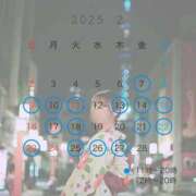 ヒメ日記 2025/02/03 13:30 投稿 ジュリ シャングリラ