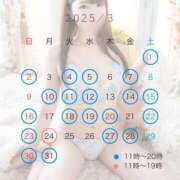 ヒメ日記 2025/02/28 12:11 投稿 ジュリ シャングリラ