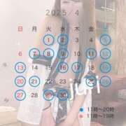 ヒメ日記 2025/04/01 20:30 投稿 ジュリ シャングリラ