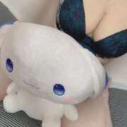 ヒメ日記 2025/07/04 05:29 投稿 いざなちゃん もう！本物じゃなきゃ満足出来ない～アンアン吠える女子大生～