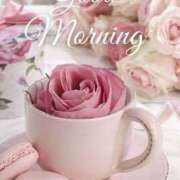 ヒメ日記 2025/01/12 11:08 投稿 東雲　れいか ギン妻パラダイス 谷九店