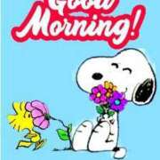 ヒメ日記 2025/03/11 11:18 投稿 東雲　れいか ギン妻パラダイス 谷九店