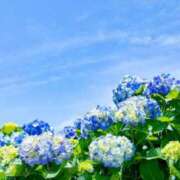 ヒメ日記 2025/06/09 11:36 投稿 東雲　れいか ギン妻パラダイス 谷九店