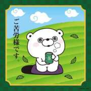 ヒメ日記 2025/11/15 23:45 投稿 東雲　れいか ギン妻パラダイス 谷九店