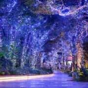 ヒメ日記 2025/12/21 11:36 投稿 東雲　れいか ギン妻パラダイス 谷九店