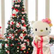 ヒメ日記 2025/12/24 11:15 投稿 東雲　れいか ギン妻パラダイス 谷九店