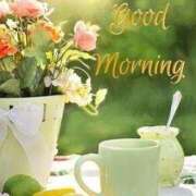 ヒメ日記 2026/01/23 11:27 投稿 東雲　れいか ギン妻パラダイス 谷九店