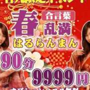 ヒメ日記 2026/03/02 12:42 投稿 東雲　れいか ギン妻パラダイス 谷九店