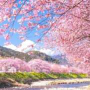 ヒメ日記 2026/04/21 10:07 投稿 東雲　れいか ギン妻パラダイス 谷九店