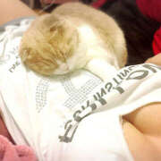 ヒメ日記 2025/04/12 05:28 投稿 くれはちゃん もう！本物じゃなきゃ満足出来ない～アンアン吠える女子大生～