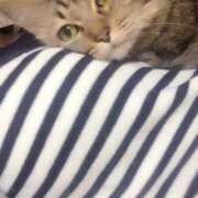 ヒメ日記 2025/08/18 19:05 投稿 くれはちゃん もう！本物じゃなきゃ満足出来ない～アンアン吠える女子大生～