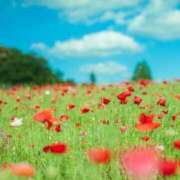 ヒメ日記 2025/06/16 13:02 投稿 かおり 出会い系人妻ネットワーク さいたま～大宮編