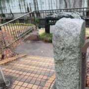 ヒメ日記 2025/03/19 13:51 投稿 あさみ MIKADO