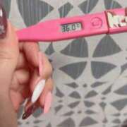 ヒメ日記 2025/03/23 09:41 投稿 あさみ MIKADO