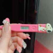 ヒメ日記 2025/04/02 09:41 投稿 あさみ MIKADO