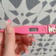 ヒメ日記 2025/04/10 09:41 投稿 あさみ MIKADO