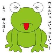 ヒメ日記 2025/06/30 20:21 投稿 あさみ MIKADO