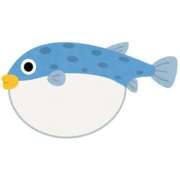 ヒメ日記 2026/01/10 20:01 投稿 あさみ MIKADO