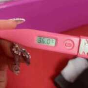 ヒメ日記 2026/02/10 09:21 投稿 あさみ MIKADO