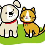 ヒメ日記 2026/03/09 20:02 投稿 あさみ MIKADO