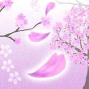 ヒメ日記 2026/04/05 20:01 投稿 あさみ MIKADO