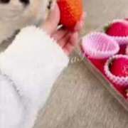 ヒメ日記 2025/01/16 15:24 投稿 イク/Iku 英國屋（金津園）