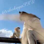 ヒメ日記 2025/02/14 16:24 投稿 イク/Iku 英國屋（金津園）