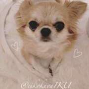 ヒメ日記 2025/02/15 12:05 投稿 イク/Iku 英國屋（金津園）