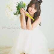 ヒメ日記 2025/03/03 12:44 投稿 イク/Iku 英國屋（金津園）