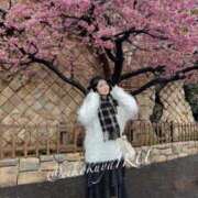 ヒメ日記 2025/03/07 11:54 投稿 イク/Iku 英國屋（金津園）