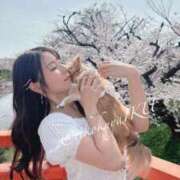 ヒメ日記 2025/04/06 09:34 投稿 イク/Iku 英國屋（金津園）