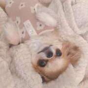 ヒメ日記 2025/04/28 22:53 投稿 イク/Iku 英國屋（金津園）