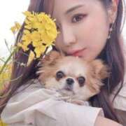 ヒメ日記 2025/05/14 21:41 投稿 イク/Iku 英國屋（金津園）