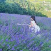 ヒメ日記 2025/07/24 20:24 投稿 イク/Iku 英國屋（金津園）