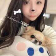 ヒメ日記 2025/10/26 12:44 投稿 イク/Iku 英國屋（金津園）