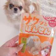 ヒメ日記 2026/04/25 12:54 投稿 イク/Iku 英國屋（金津園）