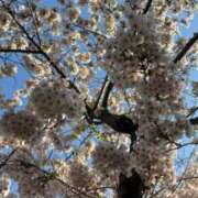 ヒメ日記 2025/05/04 07:08 投稿 ゆうき ソープランド AQUA（アクア）