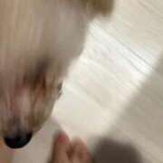 ヒメ日記 2025/05/05 13:50 投稿 ゆうき ソープランド AQUA（アクア）