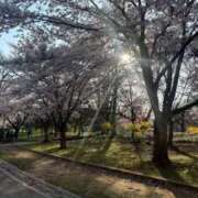 ヒメ日記 2025/05/12 14:48 投稿 ゆうき ソープランド AQUA（アクア）