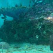 ヒメ日記 2025/05/19 18:38 投稿 ゆうき ソープランド AQUA（アクア）