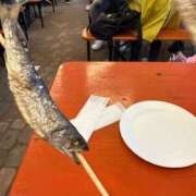 ヒメ日記 2025/05/24 23:58 投稿 ゆうき ソープランド AQUA（アクア）