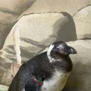 ヒメ日記 2025/06/03 00:10 投稿 ゆうき ソープランド AQUA（アクア）