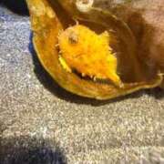 ヒメ日記 2025/06/03 22:22 投稿 ゆうき ソープランド AQUA（アクア）