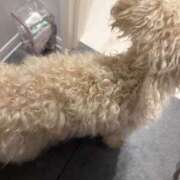 ヒメ日記 2025/06/04 12:38 投稿 ゆうき ソープランド AQUA（アクア）